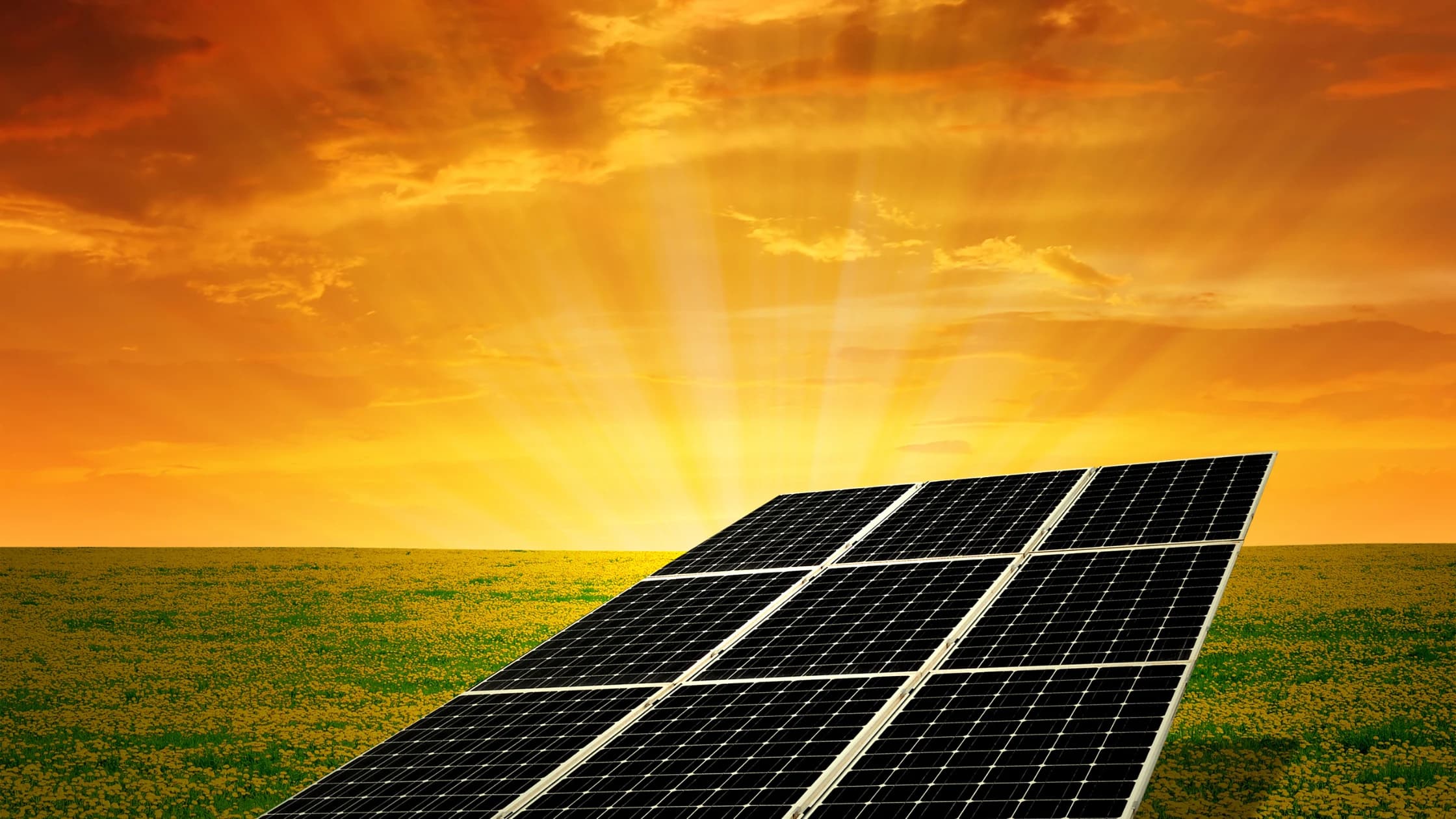 Innovations in Solar Cleaning Systems: What India’s Top Farms Are Using
