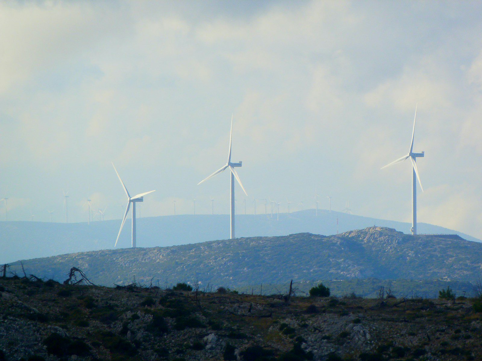 Wind Mills
